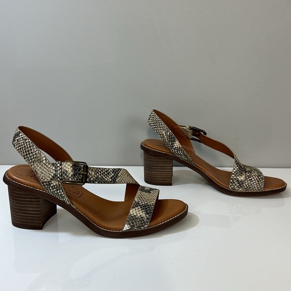 Anthropologie Zodiac Ivy Snake Print Sandals Size 8.5 - Picture 2 of 15